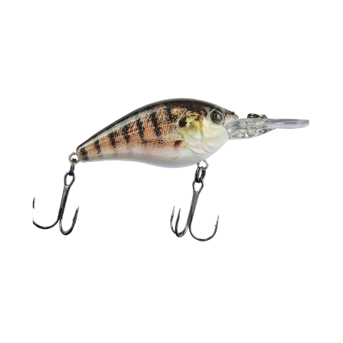 LURE SEN MEGA CRANK SD6 CARP