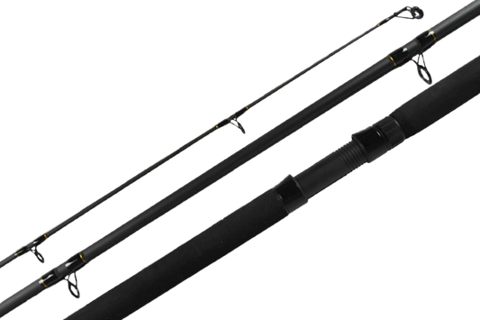 PENN LEGION II SURF CAST ROD