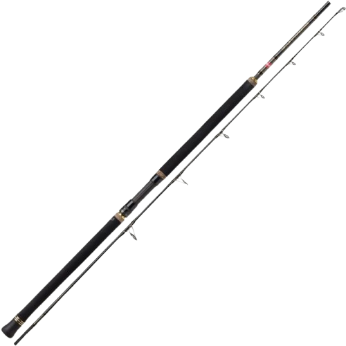 PENN REGIMENT II POPPING 9` 80-160G ROD